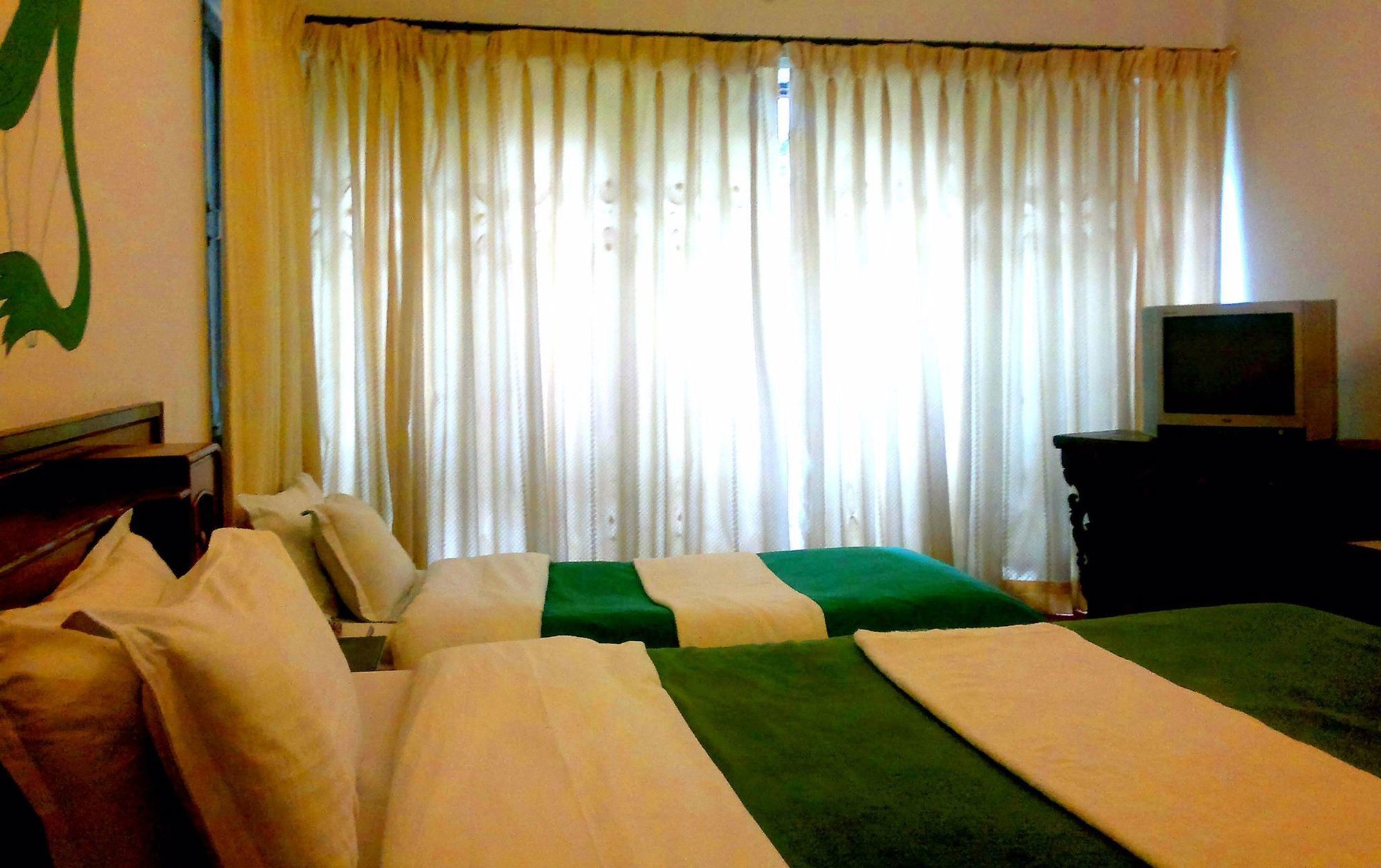 Green Hotel Káthmándú Exteriér fotografie